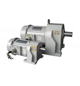 Gear Motor