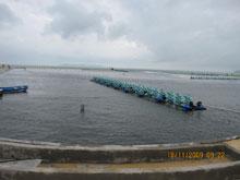 SongCau_Aquaculture